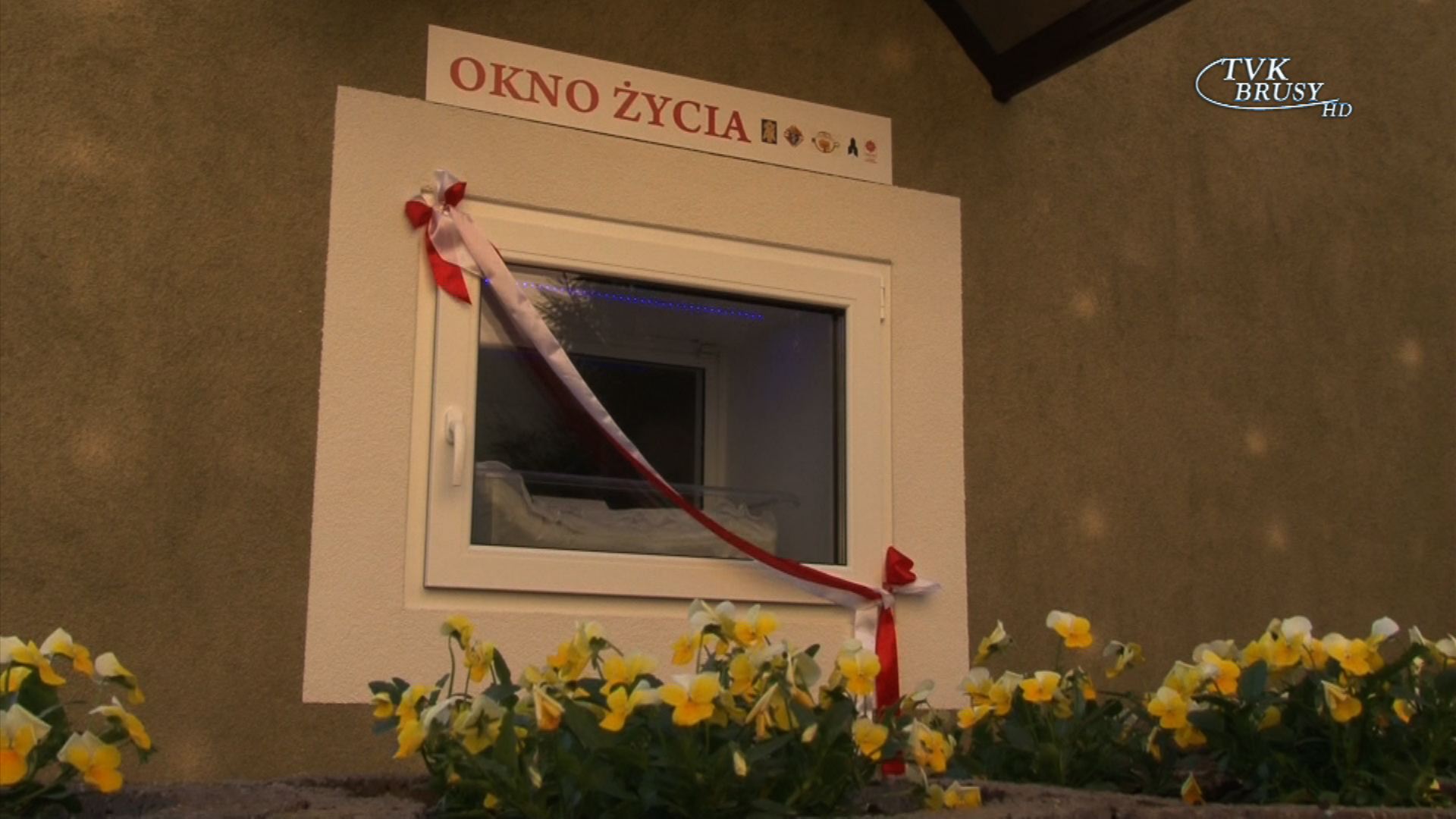 Okno_zycia.jpg